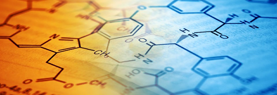 lab-217043_960x330 1